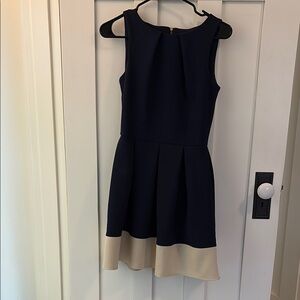 Navy and Beige Sleeveless Dress